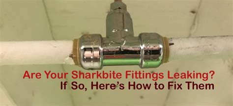 shark bite leaking|How to Fix a Leaky Sharkbite Fitting 